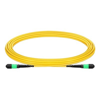 12-kärnig Fiber Patch-sladd
